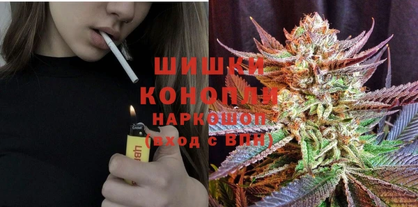 ПСИЛОЦИБИНОВЫЕ ГРИБЫ Инсар