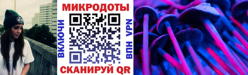 Псилоцибиновые грибы Magic Shrooms  закладки  Якутск 