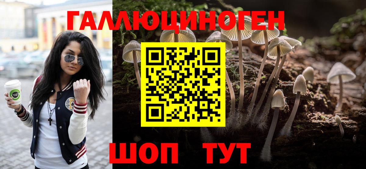 хочу наркоту  Псилоцибиновые грибы мухоморы  Вход с VPN  Якутск 